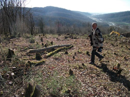 (2011.01.21) На месте будущей свалки рос дубово-грабовый лес