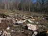 (2011.01.21) Место под свалку выбрали на карсте