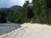 (2009.07.28-29) Самшитовые леса в долине Мзымты под угрозой