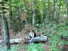 От огромного бука взята только комлевая часть, остальное брошено в лесу