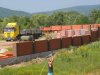 Чиновники Горячего Ключа продали городской парк для строительства местной "Рублевки"