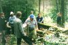 Совместная комиссия на вырубке в самшитовом лесу в долине реки Цице