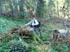Пеньки на особо охраняемой природной территории