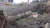 (2009.03.18) Незаконное строительство Второго грузового района порта Сочи