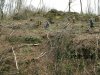 (2009.03.25) Незаконное строительство совмещенной дороги Адлер-Красная поляна