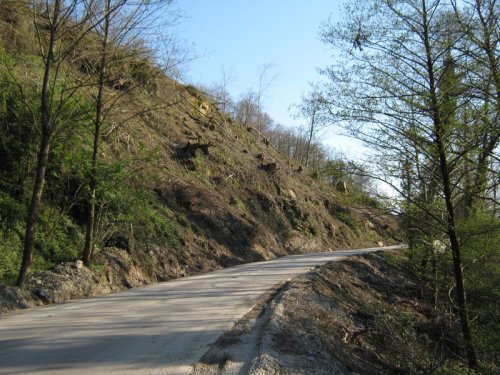 (2009.04.10) Незаконное строительство совмещенной дороги Адлер-Красная Поляна