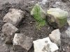 (2009.04.13) Выезд активистов Экологической Вахты на Утриш