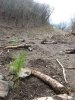 (2009.04.13) Выезд активистов Экологической Вахты на Утриш