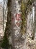 (2009.04.22) Общественная инспекция "горно-туристического" центра ОАО "Газпром"
