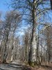 (2009.04.22) Общественная инспекция "горно-туристического" центра ОАО "Газпром"