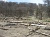 (2009.04.23) Общественная инспекция горнолыжного курорта Роза-Хутор