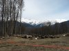 (2009.04.23) Общественная инспекция горнолыжного курорта Роза-Хутор