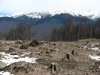 (2009.04.23) Общественная инспекция горнолыжного курорта Роза-Хутор