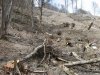 (2009.04.23) Общественная инспекция горнолыжного курорта Роза-Хутор
