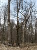 (2009.04.23) Общественная инспекция горнолыжного курорта Роза-Хутор
