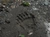 (2009.04.24) Общественная инспекция в долине реки Лаура