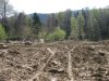 (2009.05.02) Инспекционный выезд в верховья рек Пшехашха и Цице