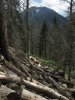 (2009.05.02) Инспекционный выезд в верховья рек Пшехашха и Цице