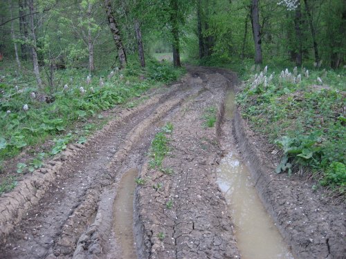 (2009.05.02) Инспекционный выезд в верховья рек Пшехашха и Цице