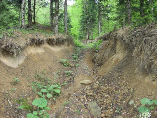 (2009.05.02) Инспекционный выезд в верховья рек Пшехашха и Цице