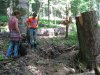 (2009.06.04) Незаконная заготовка леса в Северном отделе Кавказского заповедника