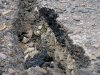 (2009.06.05) Строительство автомобильной дороги Гузерипль-плато Лагонаки