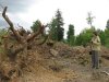 (2009.06.05) Строительство автомобильной дороги Гузерипль-плато Лагонаки