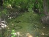 (2009.06.09) "Юг-Вино" убивает речку Колбаса