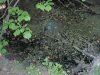 (2009.06.09) "Юг-Вино" убивает речку Колбаса