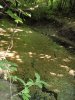 (2009.06.09) "Юг-Вино" убивает речку Колбаса