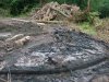 (2009.07.06) Место незаконной вырубки лапины крылоплодной при строительстве совмещенной дороги Адлер-Красная Поляна