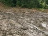 (2009.07.06) Место незаконной вырубки лапины крылоплодной при строительстве совмещенной дороги Адлер-Красная Поляна