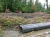 (2009.07.06) Место незаконной вырубки лапины крылоплодной при строительстве совмещенной дороги Адлер-Красная Поляна