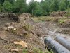 (2009.07.06) Место незаконной вырубки лапины крылоплодной при строительстве совмещенной дороги Адлер-Красная Поляна