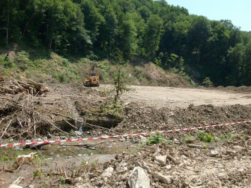 (2009.07.12) УСК "Мост" уничтожает следы незаконной рубки лапины крылоплодной