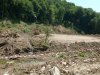 (2009.07.12) УСК "Мост" уничтожает следы незаконной рубки лапины крылоплодной