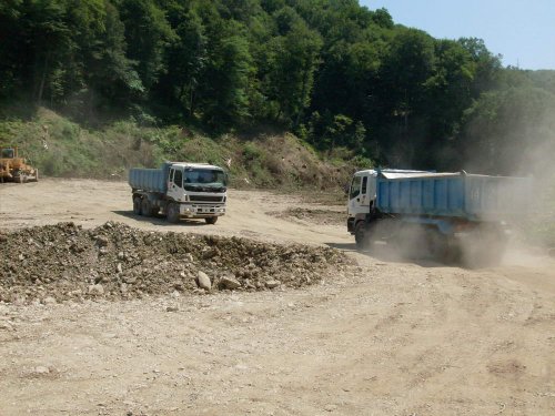 (2009.07.12) УСК "Мост" уничтожает следы незаконной рубки лапины крылоплодной