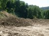 (2009.07.12) УСК "Мост" уничтожает следы незаконной рубки лапины крылоплодной