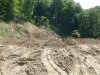 (2009.07.12) УСК "Мост" уничтожает следы незаконной рубки лапины крылоплодной