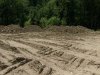 (2009.07.12) УСК "Мост" уничтожает следы незаконной рубки лапины крылоплодной