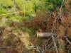 (2009.07.11) "Рекреационный объект", незаконно построенный в южной части хребта Туапхат (г.Геленджик)