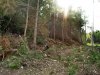 (2009.07.11) "Рекреационный объект", незаконно построенный в южной части хребта Туапхат (г.Геленджик)