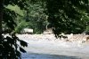 (2009.07.19-28) Отсыпка технологических трасс в русле реки Мзымта при строительстве совмещенной дороги Адлер-Красная Поляна