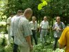(2009.07.22) Выезд комиссии на место вырубки лапины крылоплодной в 29-м квартале Веселовского лесничества Сочинского нацпарка