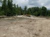 (2009.07.22) Выезд комиссии на место вырубки лапины крылоплодной в 29-м квартале Веселовского лесничества Сочинского нацпарка