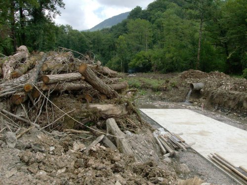 (2009.07.22) Выезд комиссии на место вырубки лапины крылоплодной в 29-м квартале Веселовского лесничества Сочинского нацпарка