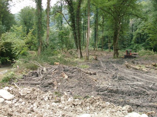 (2009.07.22) Выезд комиссии на место вырубки лапины крылоплодной в 29-м квартале Веселовского лесничества Сочинского нацпарка