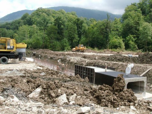 (2009.07.22) Выезд комиссии на место вырубки лапины крылоплодной в 29-м квартале Веселовского лесничества Сочинского нацпарка