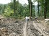 (2009.07.22) Выезд комиссии на место вырубки лапины крылоплодной в 29-м квартале Веселовского лесничества Сочинского нацпарка