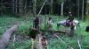 (2009.07.23) Обследование территории Северного отдела Кавказского заповедника в районе кордона Гузерипль